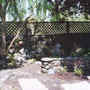 This is a view towards the bog garden.