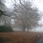 Another peaceful or creepy pic! lol