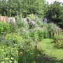 View of the double border