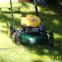Back garden