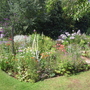 Another view of the borders in the 'Hidden Garden' 