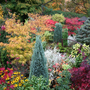 Autumn_colours__lower_garden_