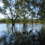 after the rains