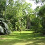 the park