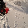 Snowblower!!
