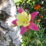 Captured_2007-5-18_00014