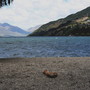 The New Zealand Experience Vol 5