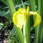 Captured_2007-5-18_00019