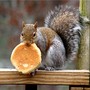 It's mine....All mine....,HA HA ha  aha  ha...!