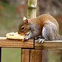 Yummy...., Chunky peanutbutter...My favorite !