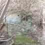 Garden_-_before