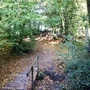 2007_1006Hockley-Woods0049.jpg