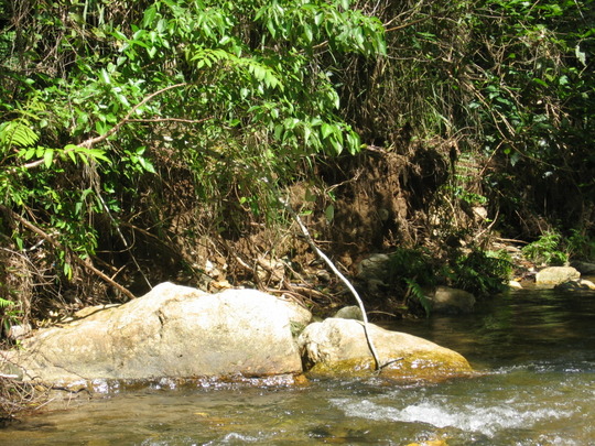 Up the creek