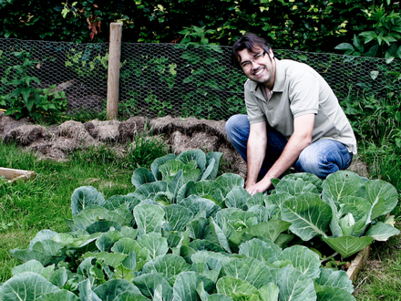 Cabbages