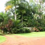 along the sidewalk