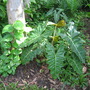 name please