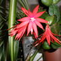 Picture_041