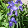 Captured_2007-5-24_00015