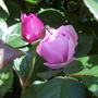 Captured_2007-5-24_00006