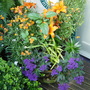 August_2007