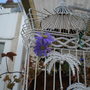 Picture_233