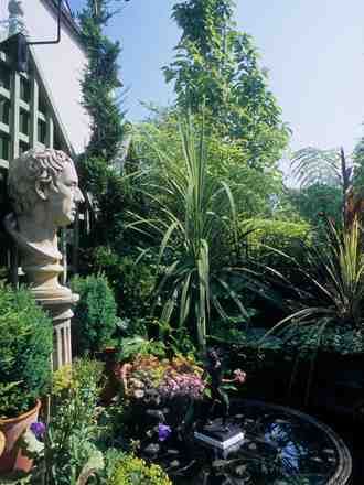 A garden flower photo