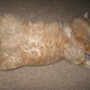 taking it easy this is the life.