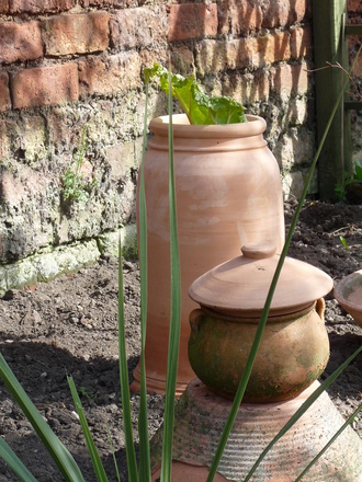 Well....Hello! (Rhubarb)