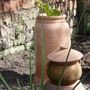 Well....Hello! (Rhubarb)