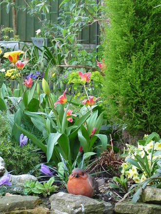 Sunny afternoon in the garden