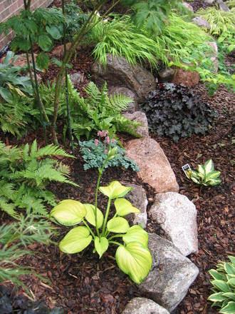 Shade Garden
