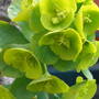 Picture_099