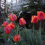 4-4-07_005