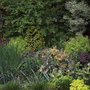 Spring_flowers__5-8-06_011