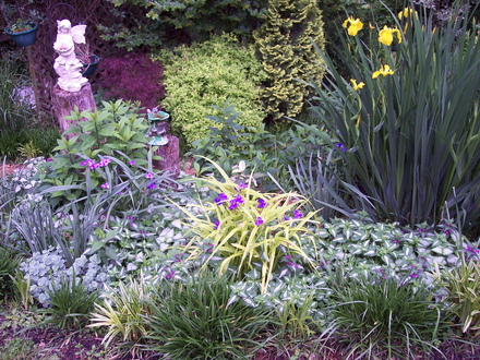 late spring,  flowerbed on bank