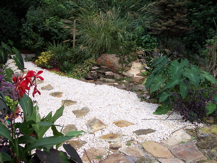 path beside pond