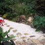 path beside pond