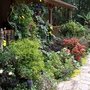 Fall_flowers_10-6-06_054