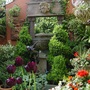 Picures_for_daily_mail_competition_003