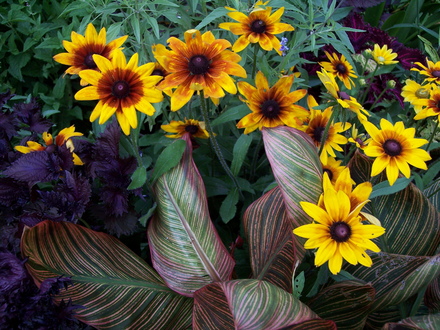 color combos