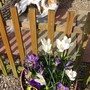 The most comfy place in the garden...