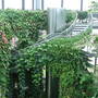 75__Sunderland_Winter_Gardens.jpg