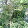 74__Sunderland_Winter_Gardens_3.jpg