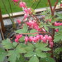 Picture_013