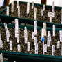 Greenhouse_early_2008_+_baby_011