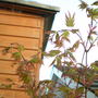 Picture_030