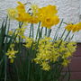 By my front door