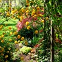 4-25-09_spring_463