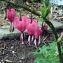 4-30-09_012
