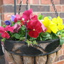 4-30-09_001